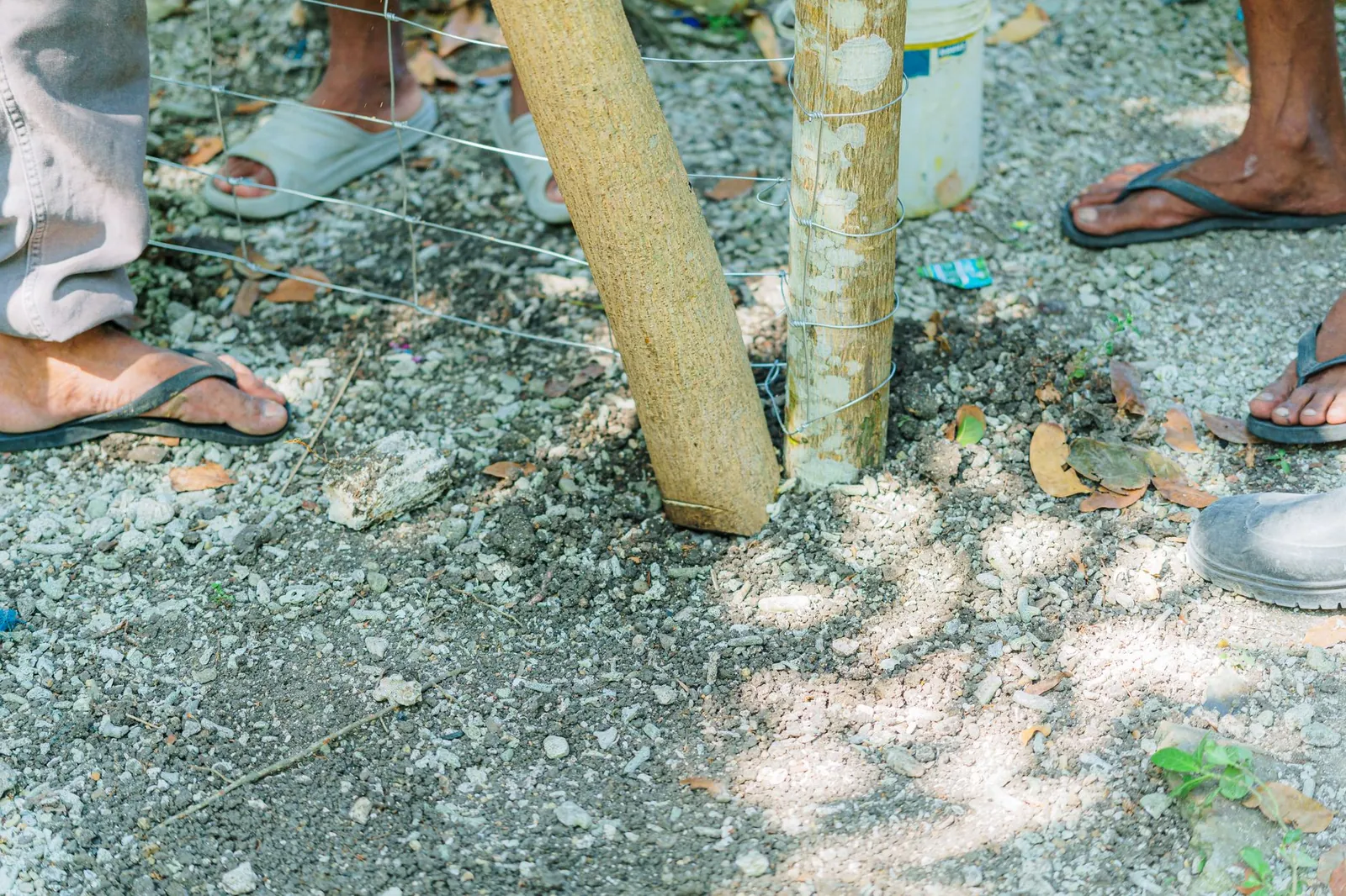 Workers installing a wooden fence post in a sunny outdoor area. Stock photo illustrating Systematic Industries' new order story.