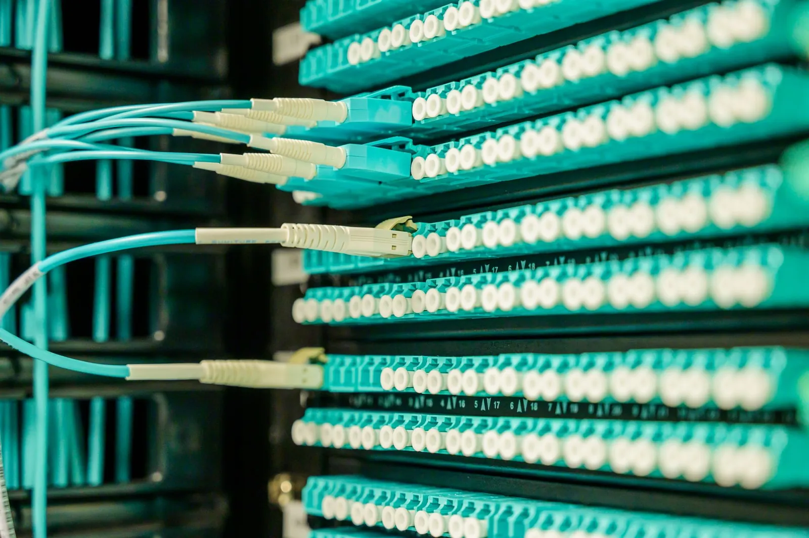 Networking cables plugged into a patch panel, showcasing data center connectivity. Stock photo illustrating Creative Newtech's new order story.
