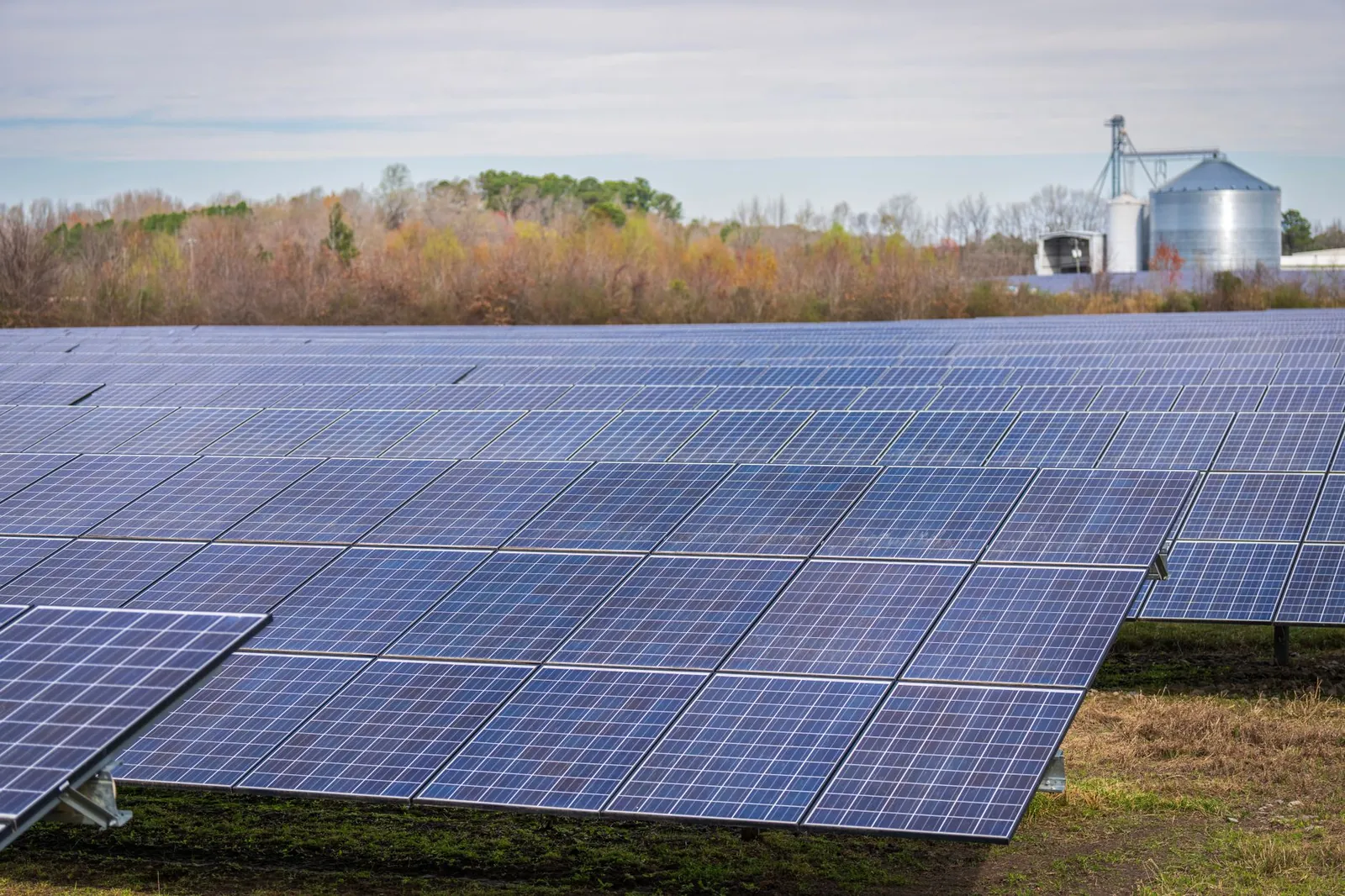 A large field of solar panels capturing renewable energy under a clear sky. Stock photo illustrating ACME Solar Holdings' new order story.