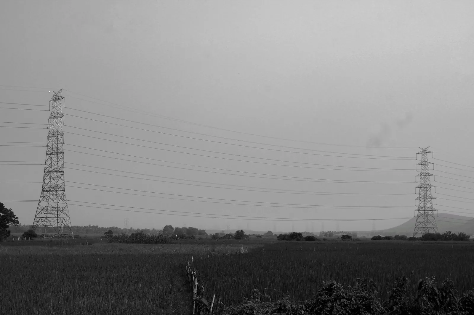 Black and white photo of transmission towers in the rural fields of Odisha, India. Stock photo illustrating Power Grid Corporation of India's earning call story.
