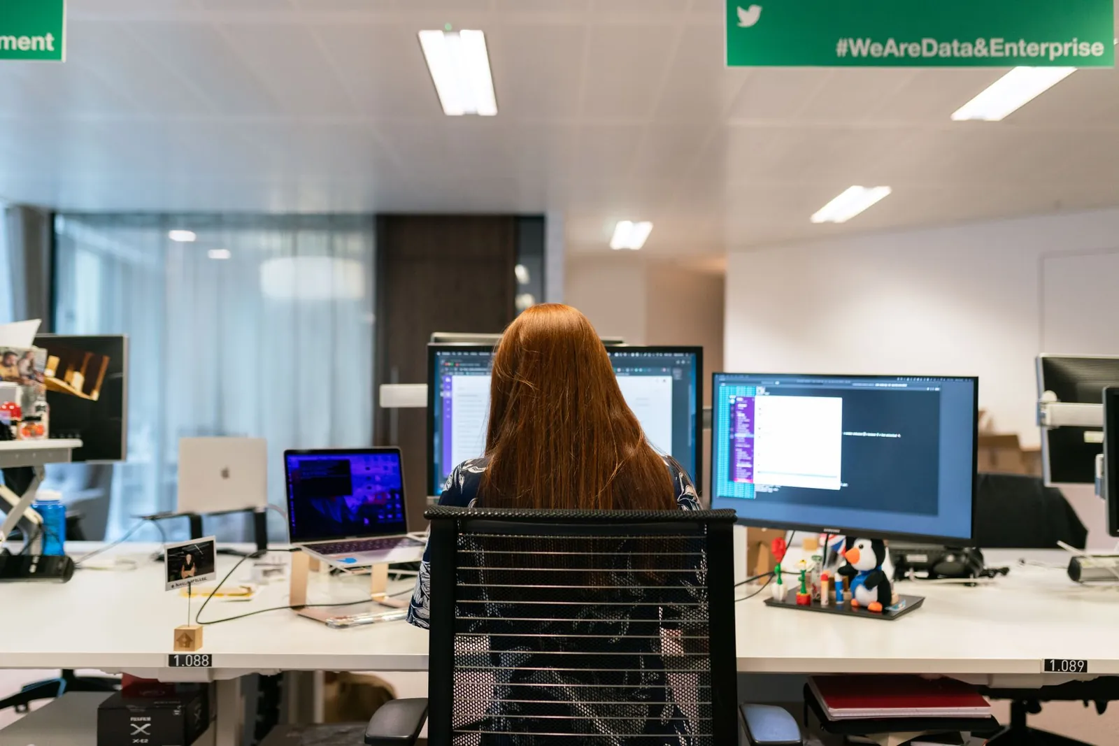 Back view of a female software engineer working at a multi-monitor setup in an office. Stock photo illustrating Exato Technologies' earning call story.