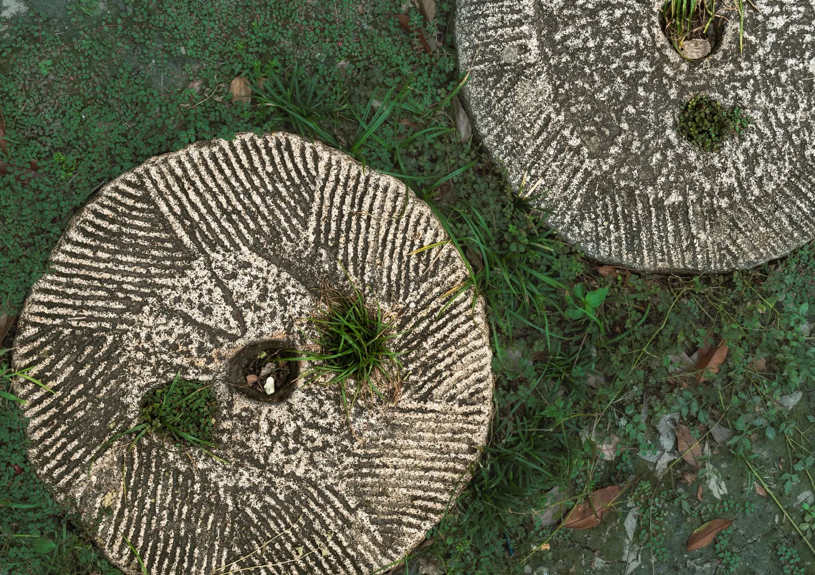 Top-down view of two old stone grinding wheels with grass growing on them in an outdoor setting. Stock photo illustrating Sagar Cements' production started story.