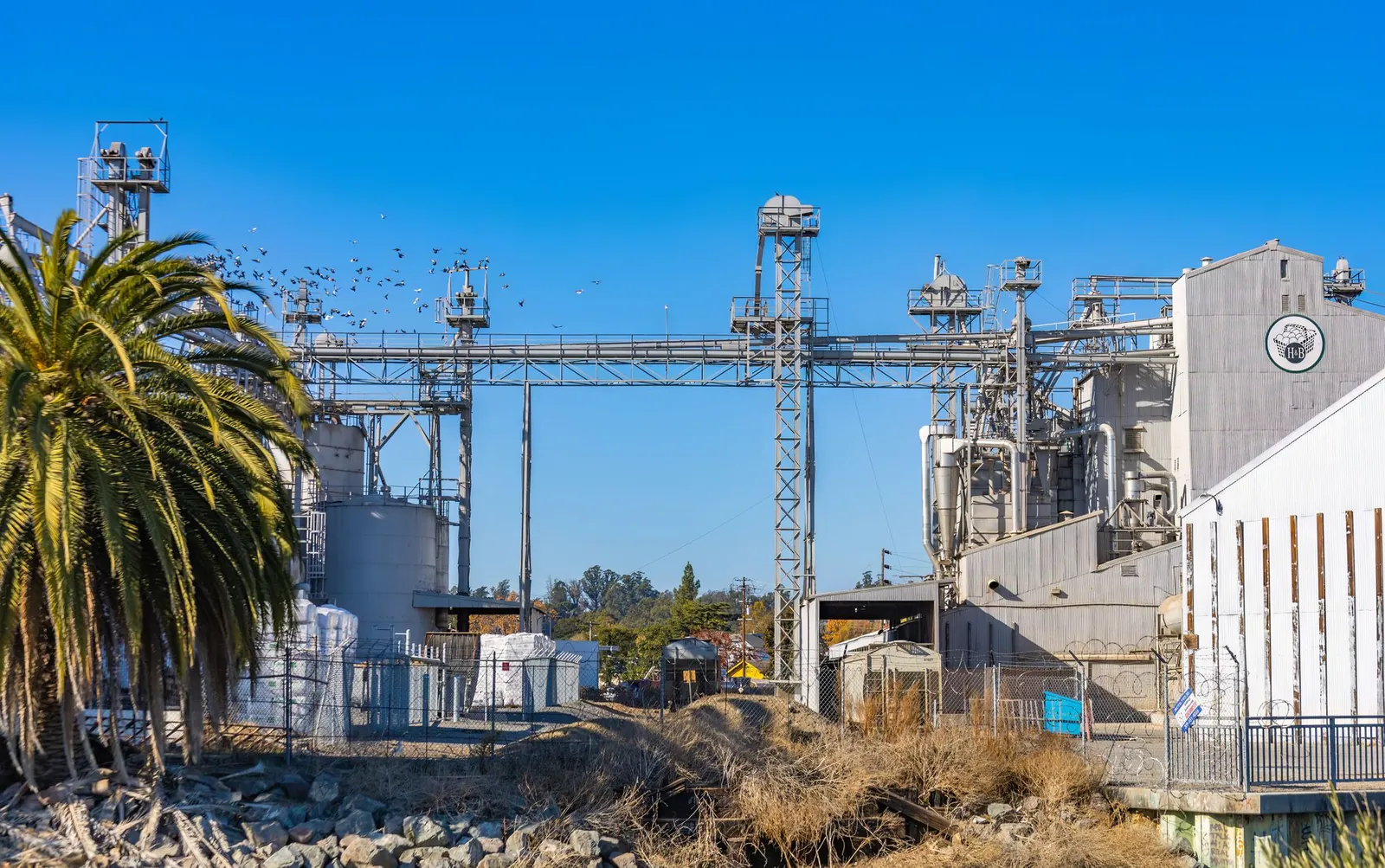 Industrial facility with silos and palm tree, surrounded by a clear blue sky. Stock photo illustrating Fertilizers and Chemicals Travancore's production started story.