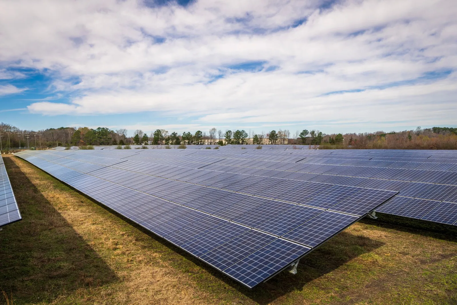 A vast array of solar panels on a sunny day showcasing renewable energy technology. Stock photo illustrating Adani Green Energy's production started story.