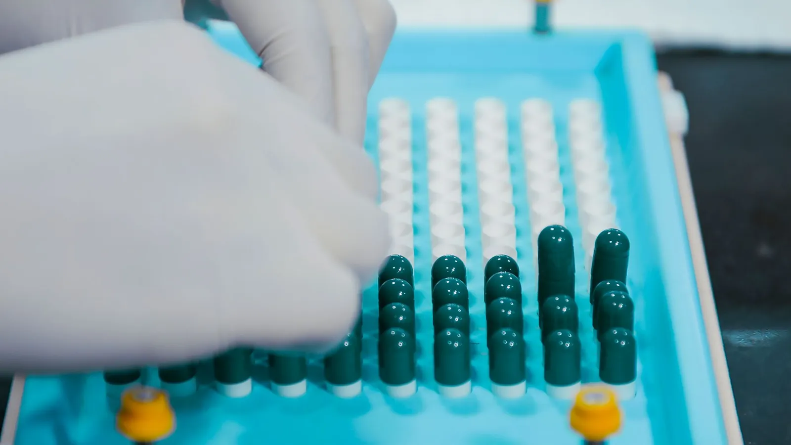 Close-up view of gloved hands arranging capsules on a sterile tray, indicative of pharmaceutical practices. Stock photo illustrating IOL Chemicals & Pharmaceuticals' expansion story.