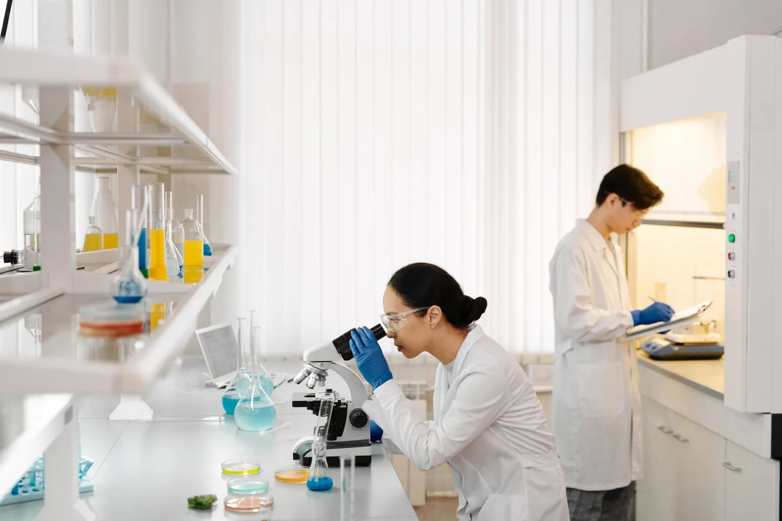 Two scientists working in a well-equipped laboratory with microscopes and test tubes. Stock photo illustrating Emcure Pharmaceuticals' earning call story.