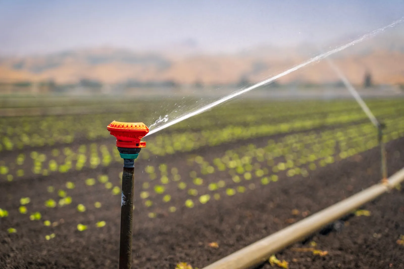 A sprinkler irrigating a green crop field in a rural landscape under a clear blue sky. Stock photo illustrating Denta Water and Infra Solutions' new order story.