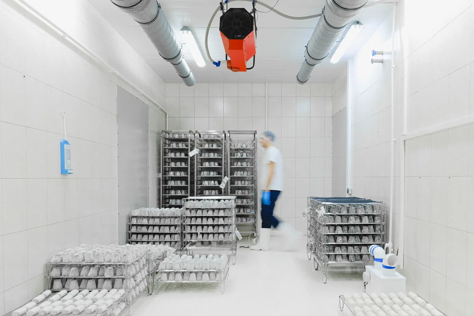 Blurred worker in a cold storage facility with shelves of perishable goods, emphasizing motion and efficiency. Stock photo illustrating Chatha Foods' production started story.