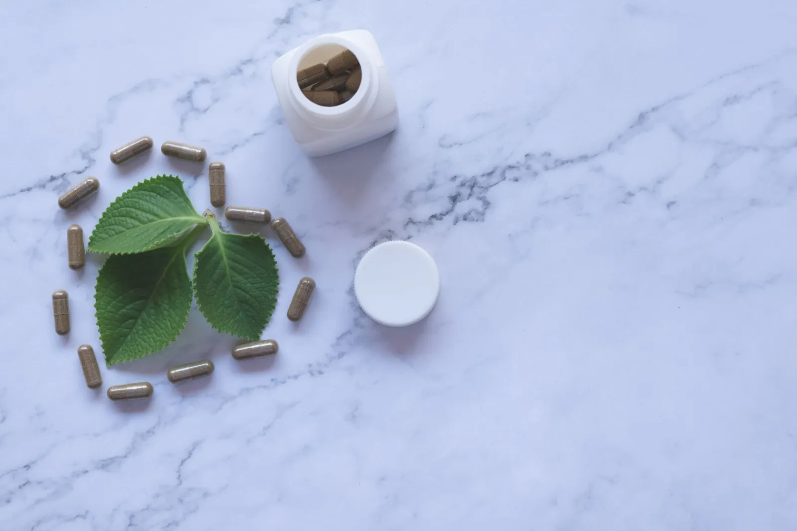 Flat lay of herbal capsules, leaves, and bottle on marble surface, symbolizing natural wellness. Stock photo illustrating Jeena Sikho Lifecare's product launched story.