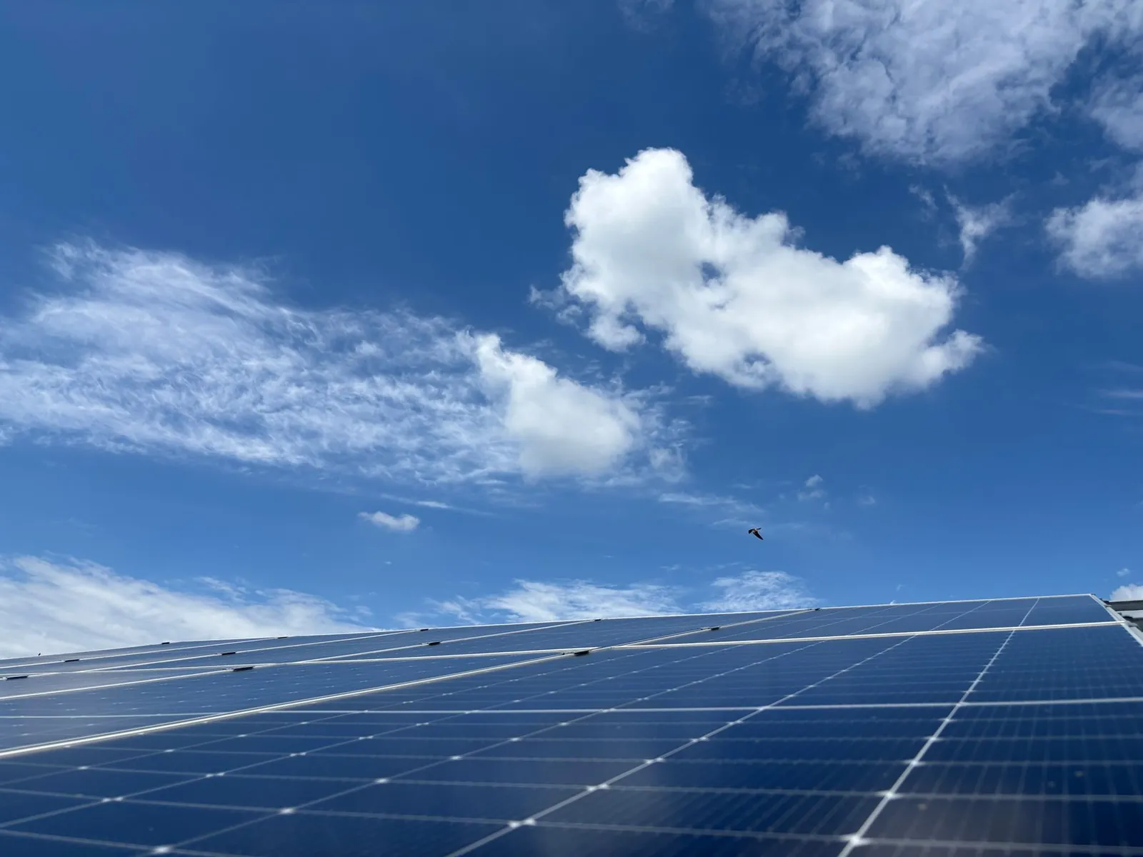 Solar panels with clear blue sky and clouds in Dehradun, India. Sustainable energy captured. Stock photo illustrating Premier Energies' production started story.