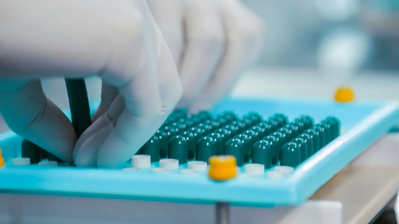 Close-up of gloved hands working with capsules in a pharmaceutical lab setting. Stock photo illustrating Bharat Parenterals' fund raise story.