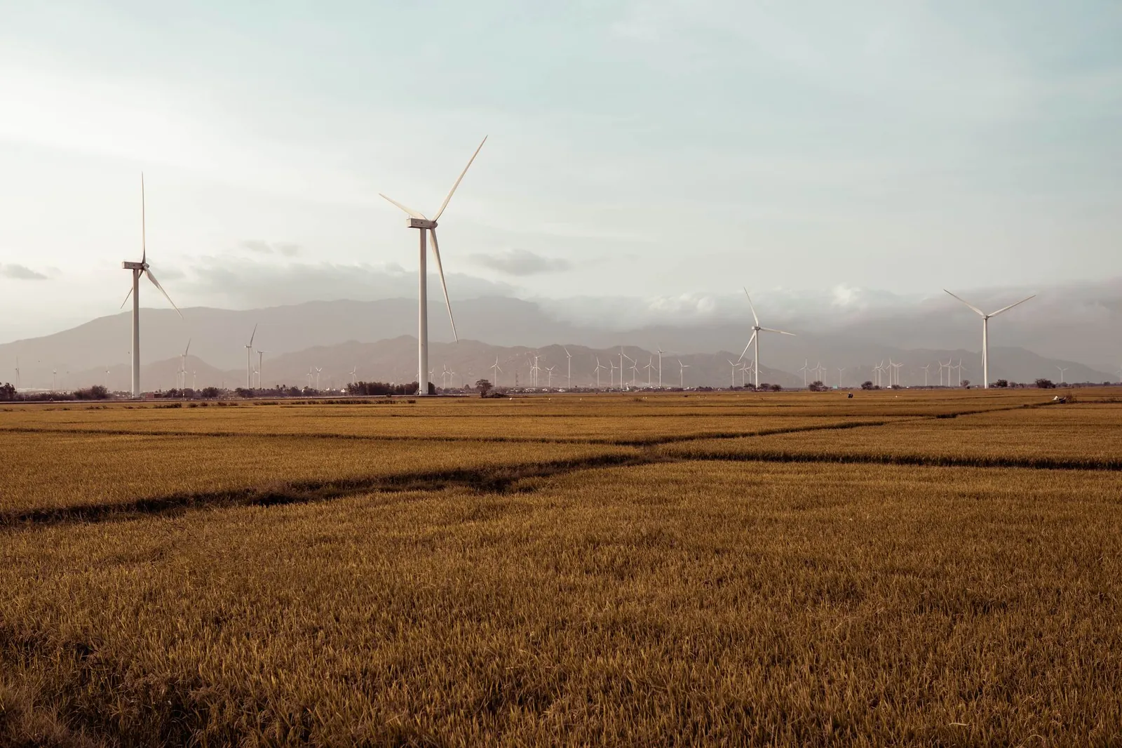 A serene landscape featuring a large wind farm and distant mountains under a hazy sky. Stock photo illustrating Refex Renewables & Infrastructure's new order story.