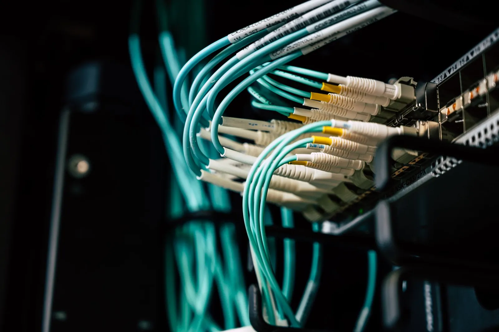 Detailed view of network cables plugged into a server rack in a data center. Stock photo illustrating Persistent Systems' new order story.
