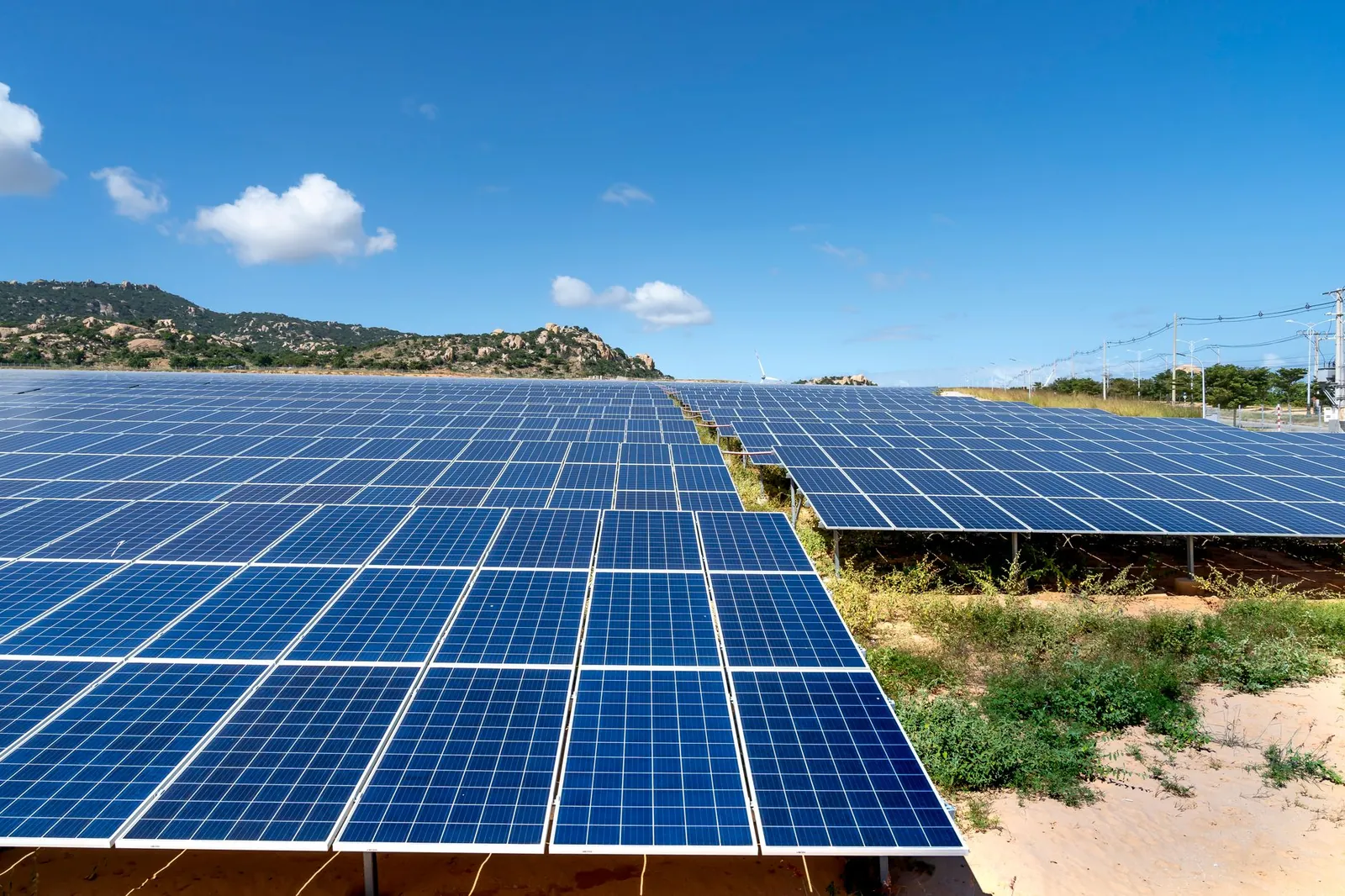A vast field of solar panels harnessing solar energy on a sunny day. Stock photo illustrating Premier Energies' new order story.