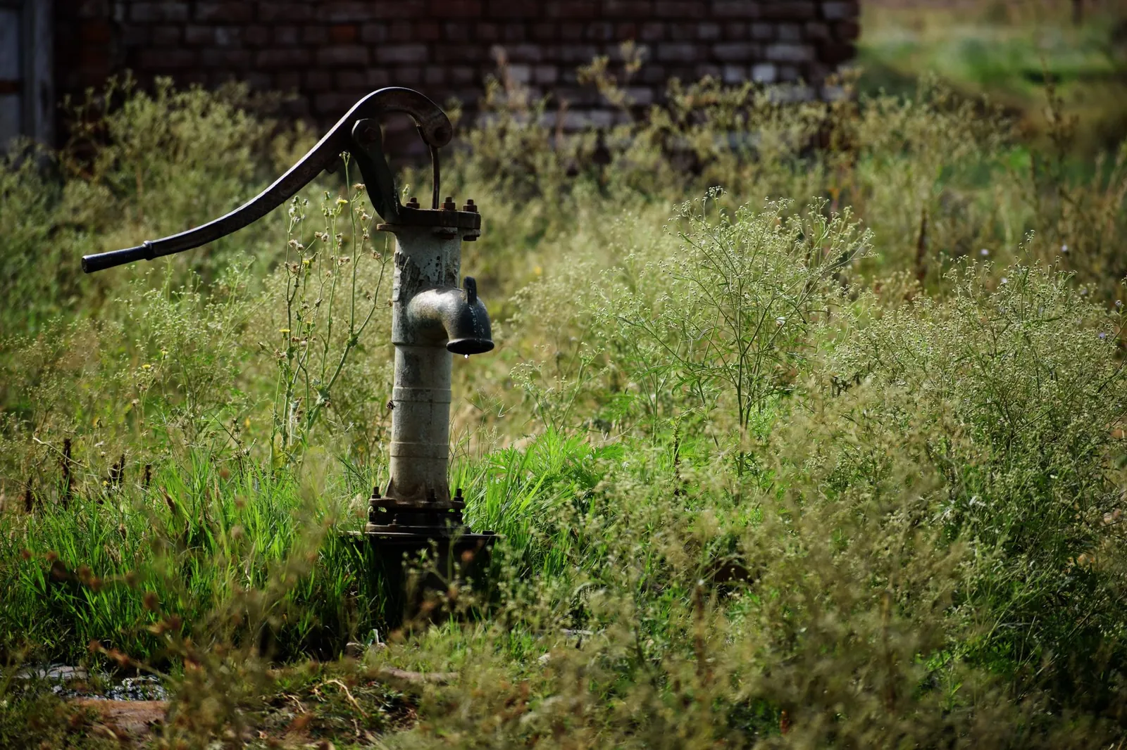 An old manual water pump surrounded by tall grass and weeds, hinting at rural life and forgotten places. Stock photo illustrating GK Energy's new order story.