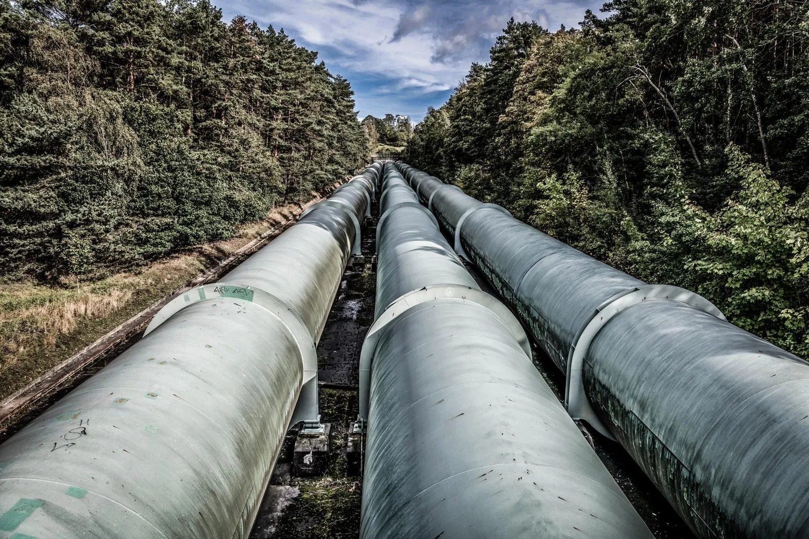 View of large industrial pipelines running through a lush forest landscape. Stock photo illustrating Apsis Aerocom's new order story.