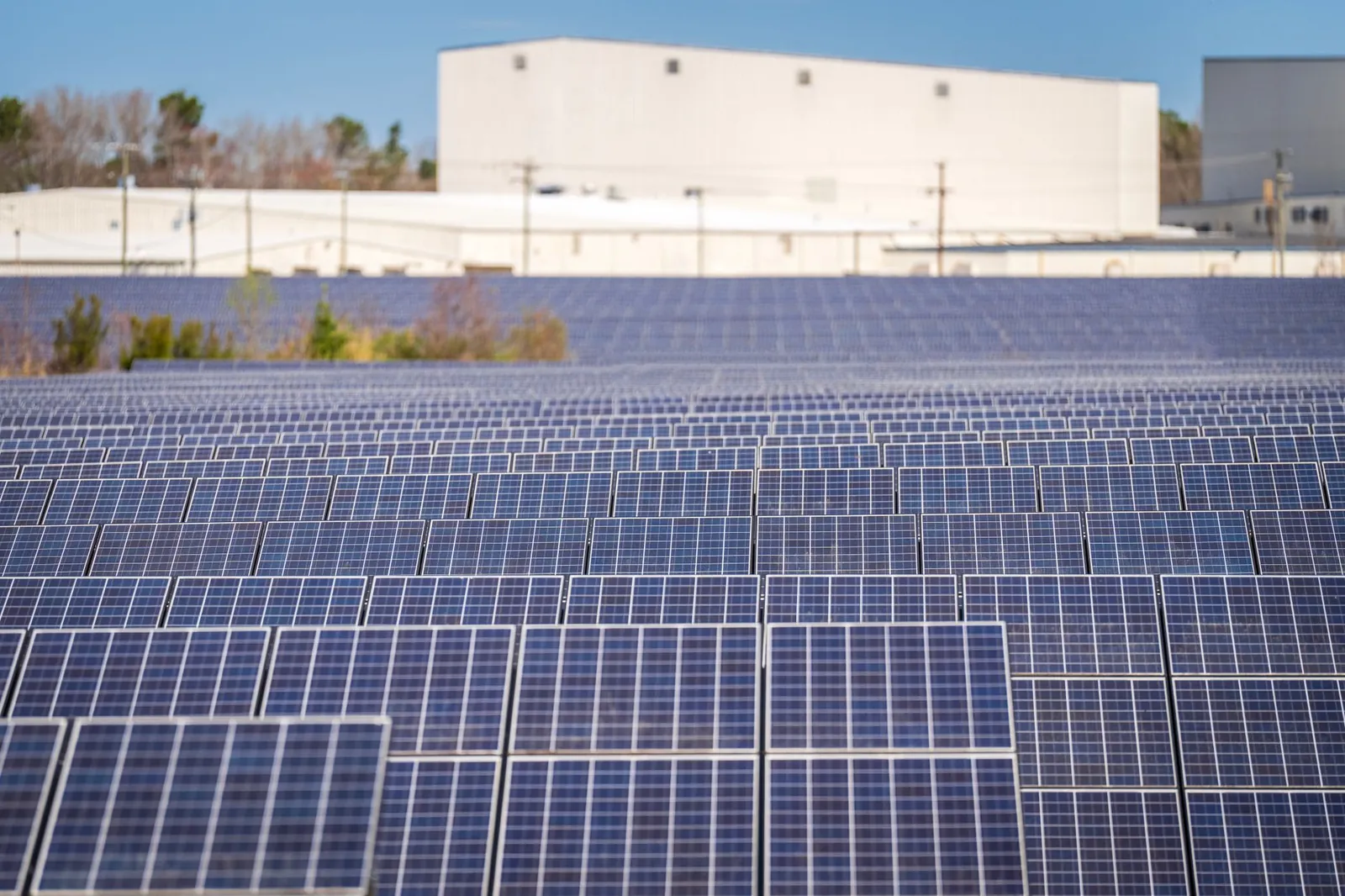 A large solar farm with photovoltaic panels generating renewable energy outdoors. Stock photo illustrating Zodiac Energy's new order story.