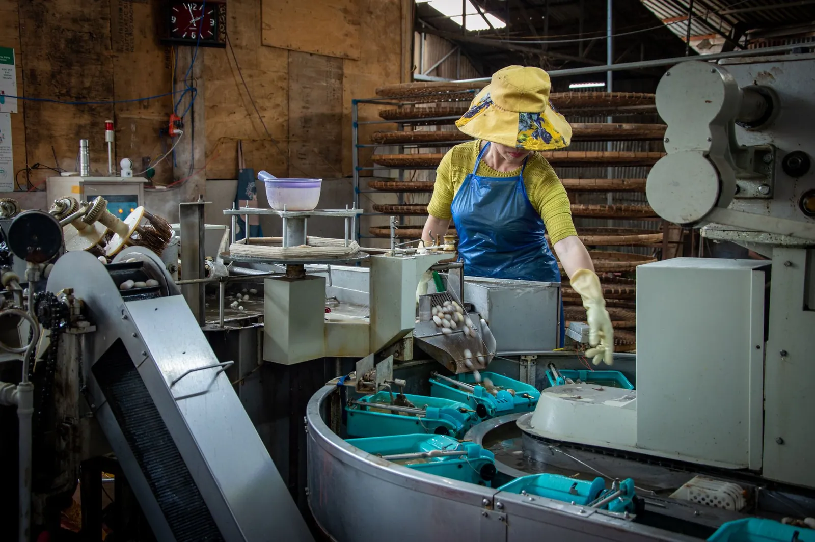 Woman in an apron and hat operates machinery on a production line in a factory setting. Stock photo illustrating NIBE's expansion story.