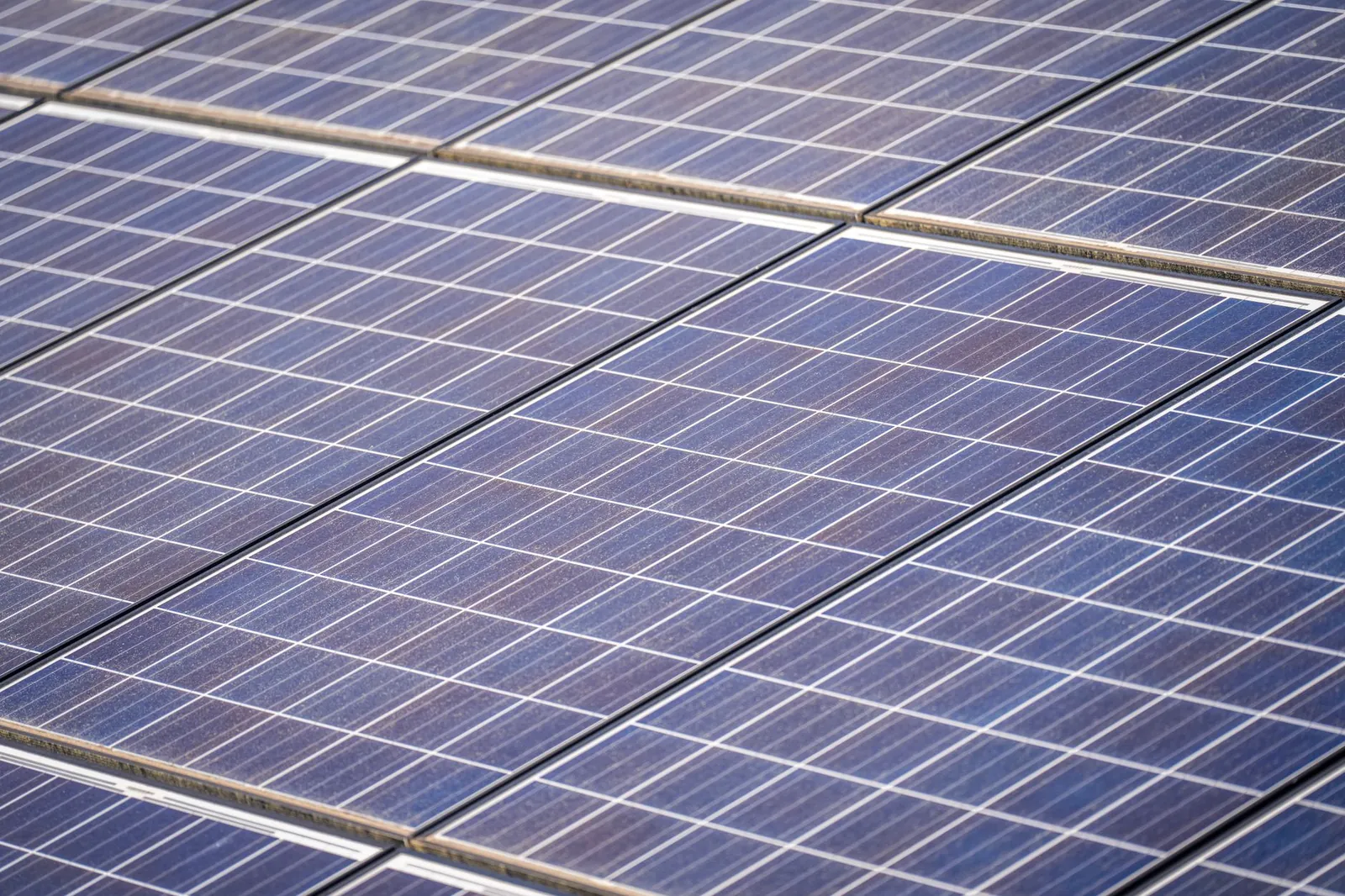 Detailed view of solar panels in a solar farm highlighting renewable energy technology. Stock photo illustrating The Andhra Sugars' production started story.