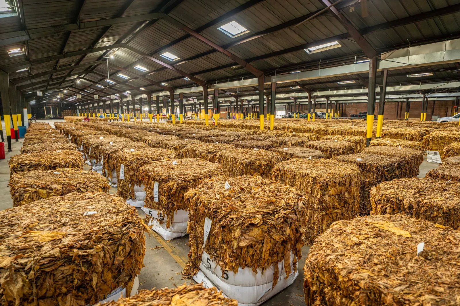 Rows of tobacco bales stored in an expansive warehouse, indicative of agricultural processing. Stock photo illustrating Mangalam Global Enterprise's financial results story.