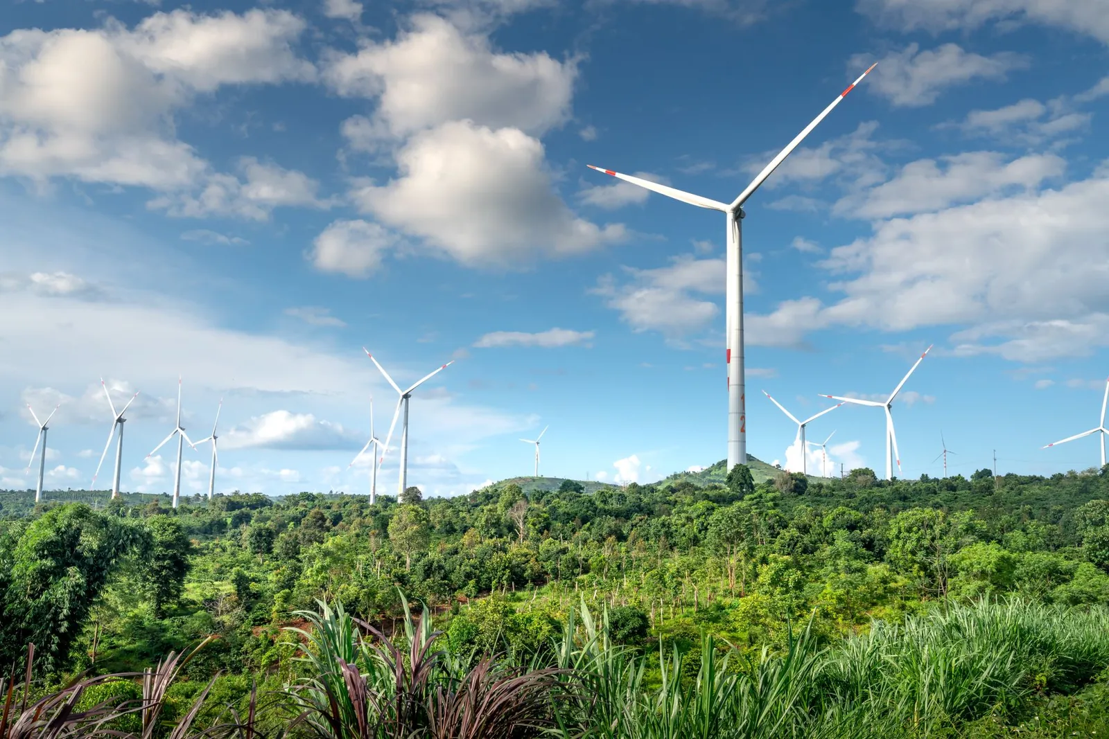 A scenic view of wind turbines in a lush green landscape under a blue sky with clouds. Stock photo illustrating Accord Transformer & Switchgear's new order story.