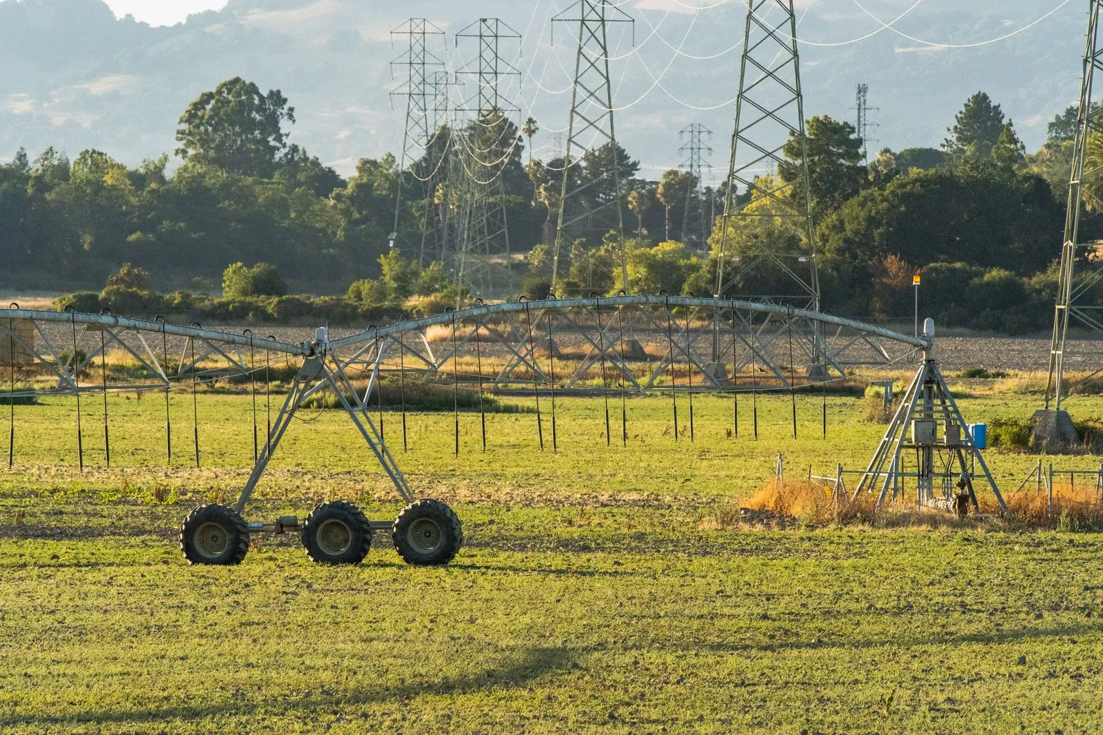 A sunny field with an irrigation system and power lines in the background. Ideal for agricultural themes. Stock photo illustrating LCC Projects' new order story.