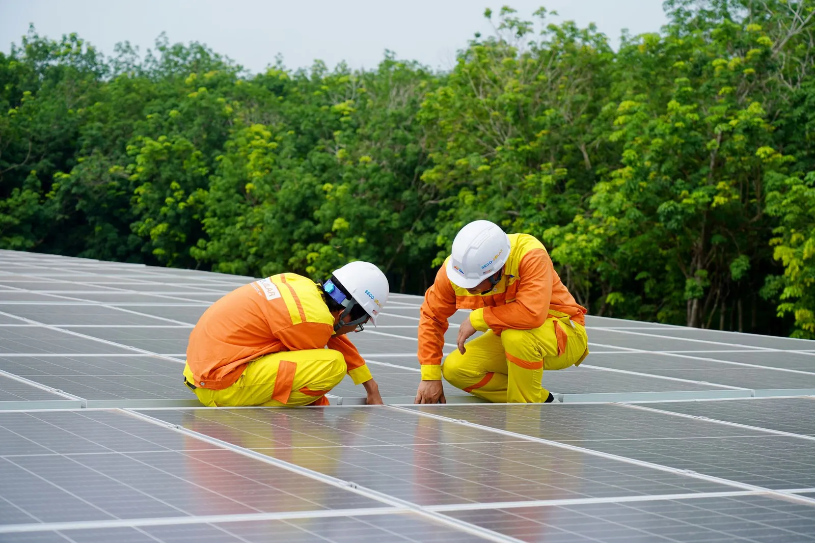 Workers installing photovoltaic solar panels on a sunny day, promoting renewable energy. Stock photo illustrating Sterling and Wilson Renewable Energy's new order story.