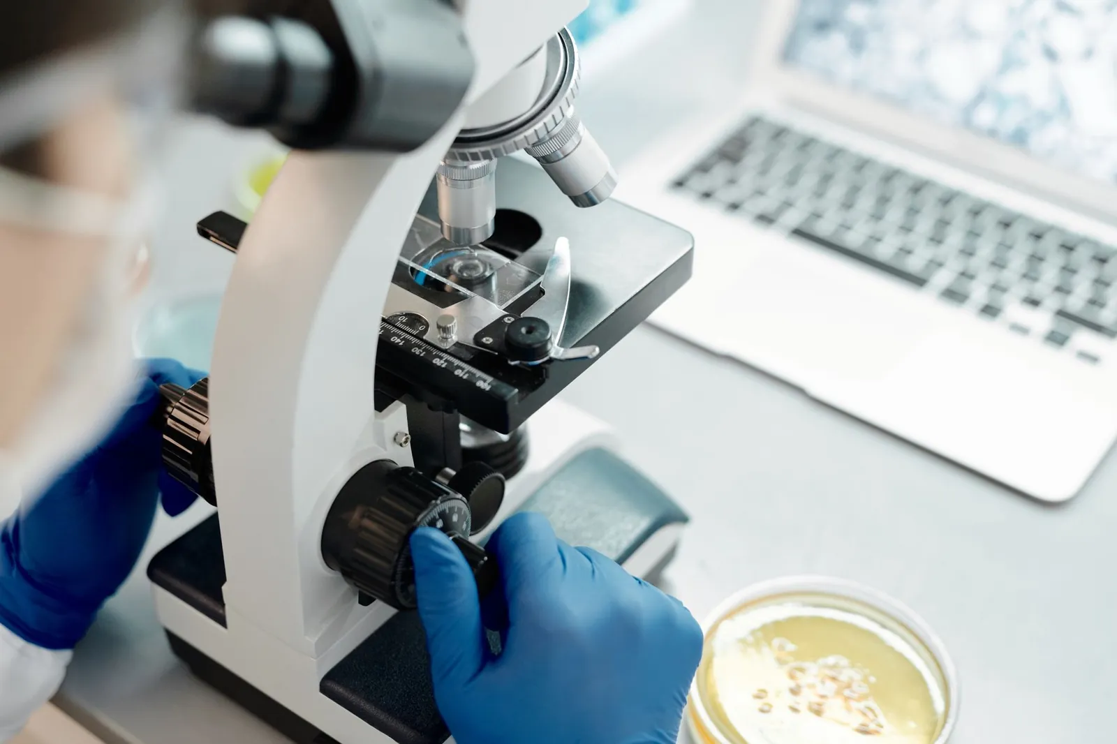 Researcher analyzing biological samples under a microscope in a laboratory. Stock photo illustrating Platinum Industries' partnership story.