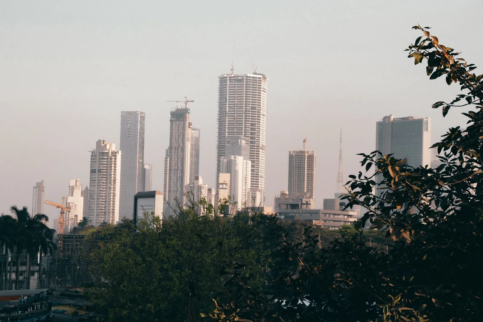 City skyline with skyscrapers and trees during the day, showcasing urban architecture. Stock photo illustrating Mahindra Lifespace Developers' product launched story.