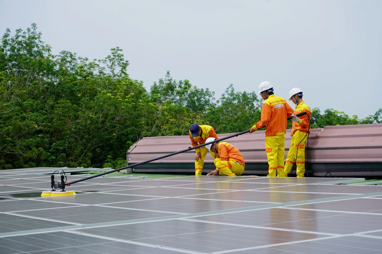 A team of workers cleaning solar panels on a sunny day, focusing on renewable energy maintenance. Stock photo illustrating Waaree Renewable Technologies' new order story.