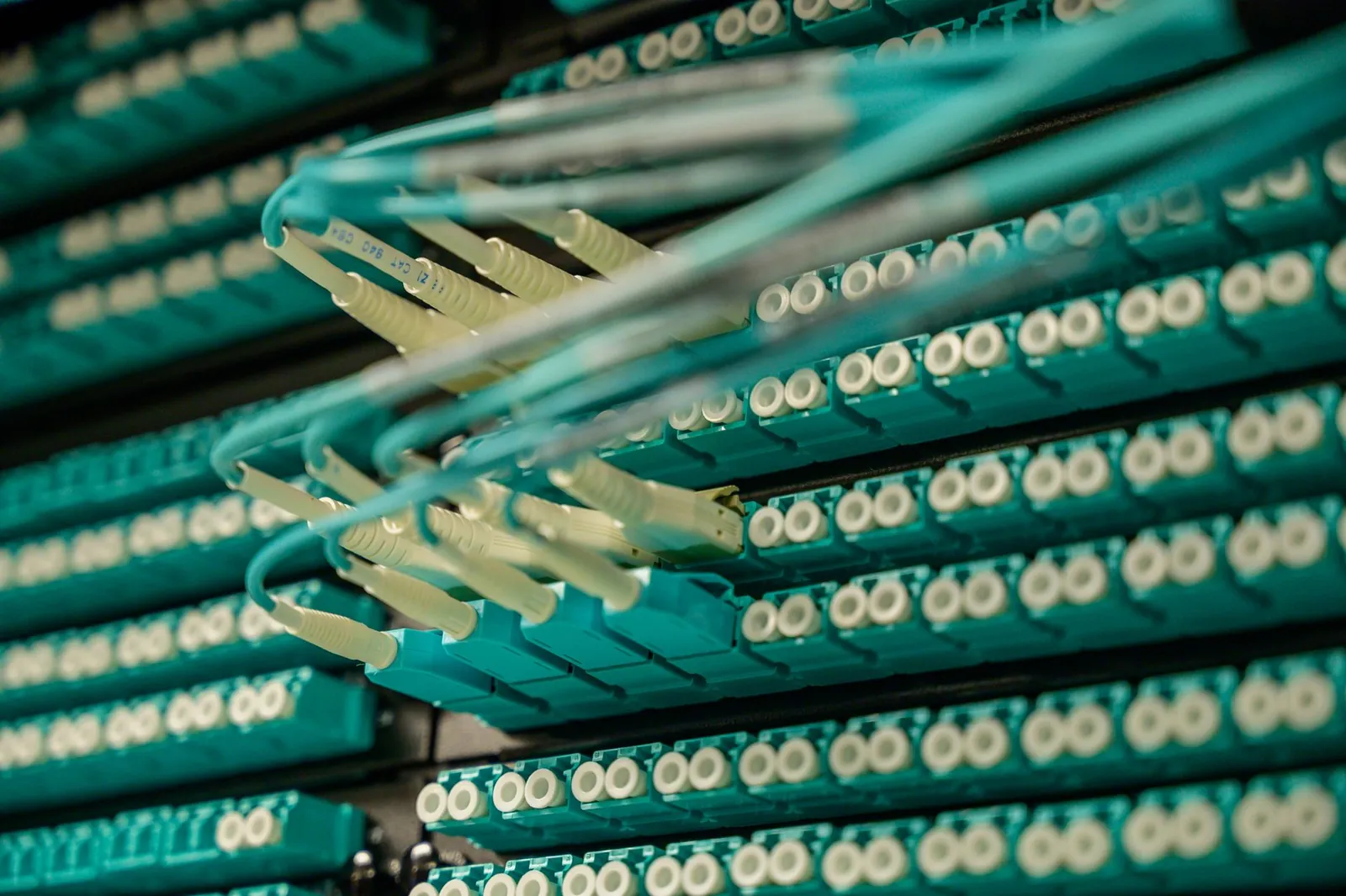 Detailed view of fiber optic cables connected to a server rack, showcasing modern technology. Stock photo illustrating Sterlite Technologies' product launched story.