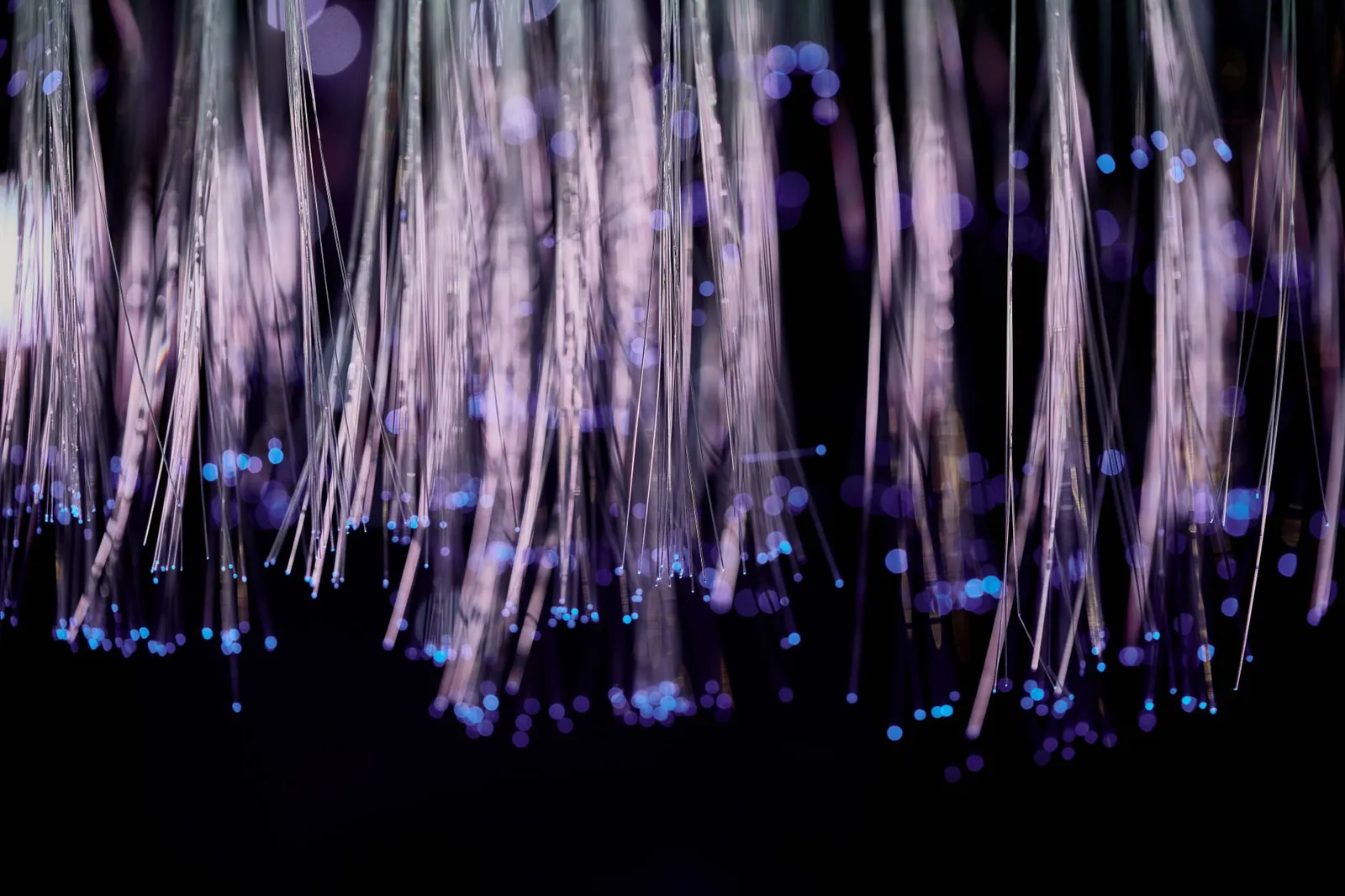 Close-up of glowing fiber optic lights with a purple and blue bokeh effect. Stock photo illustrating HFCL's earning call story.
