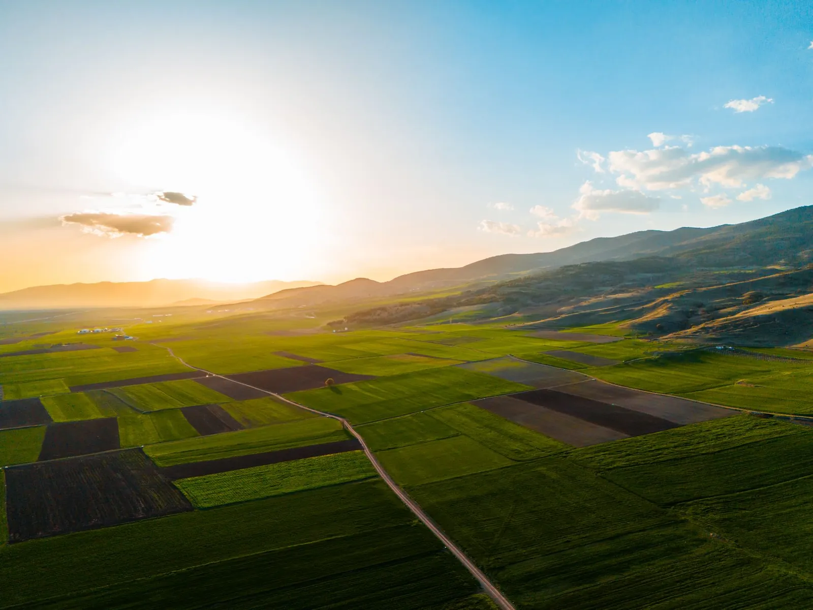 Captivating aerial landscape of lush fields and hills at sunset, perfect for highlighting rural beauty. Stock photo illustrating NTPC's production started story.