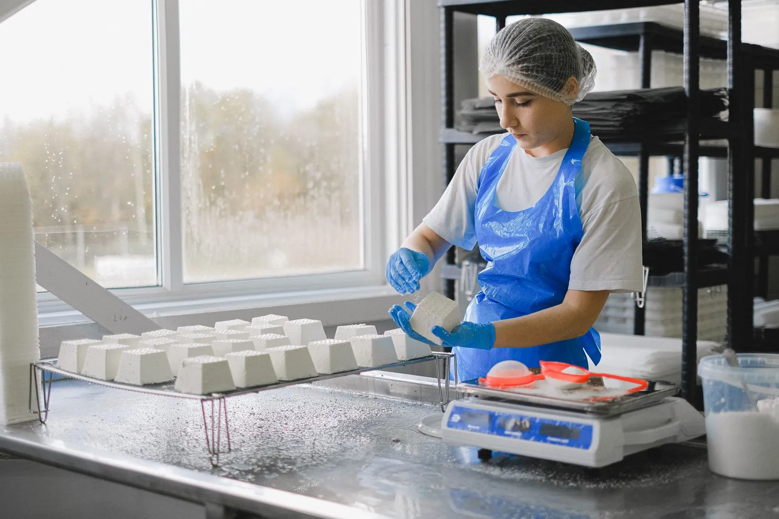 A female worker processes cheese in a dairy factory using modern equipment. Stock photo illustrating Milkfood's fund raise story.
