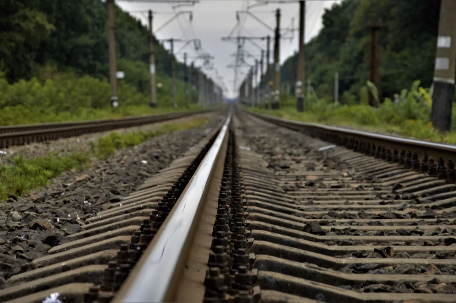 Low angle view of railway tracks stretching into the distance, surrounded by greenery. Stock photo illustrating GPT Infraprojects' new order story.