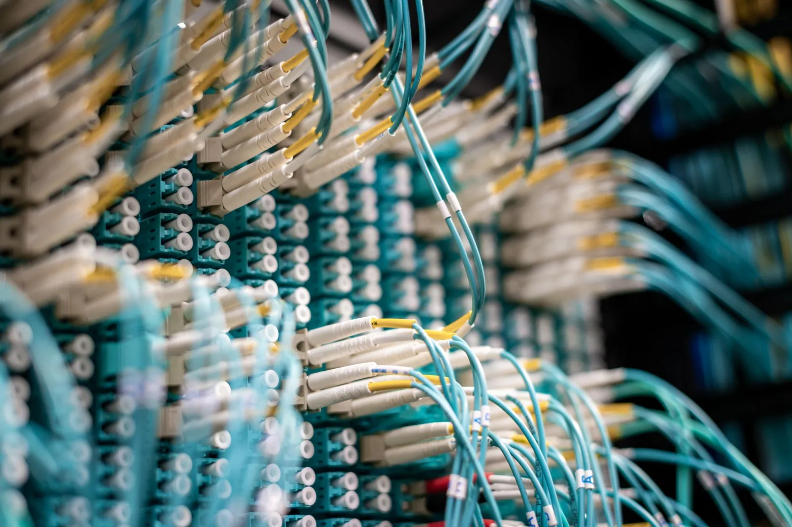 From below of fiber optic switch with sockets and connected rubber cables on blurred background. Stock photo illustrating Sterlite Technologies' new order story.