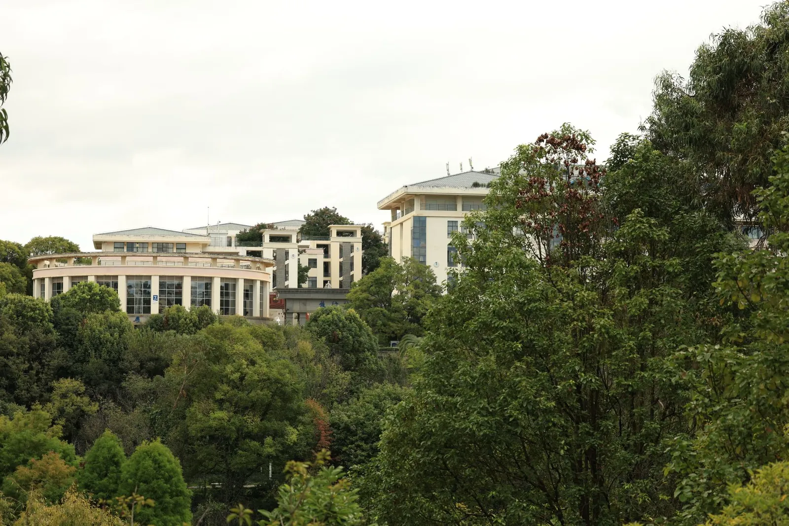A scenic view of contemporary campus buildings amid lush greenery under an overcast sky. Stock photo illustrating Deepak Builders & Engineers India's new order story.