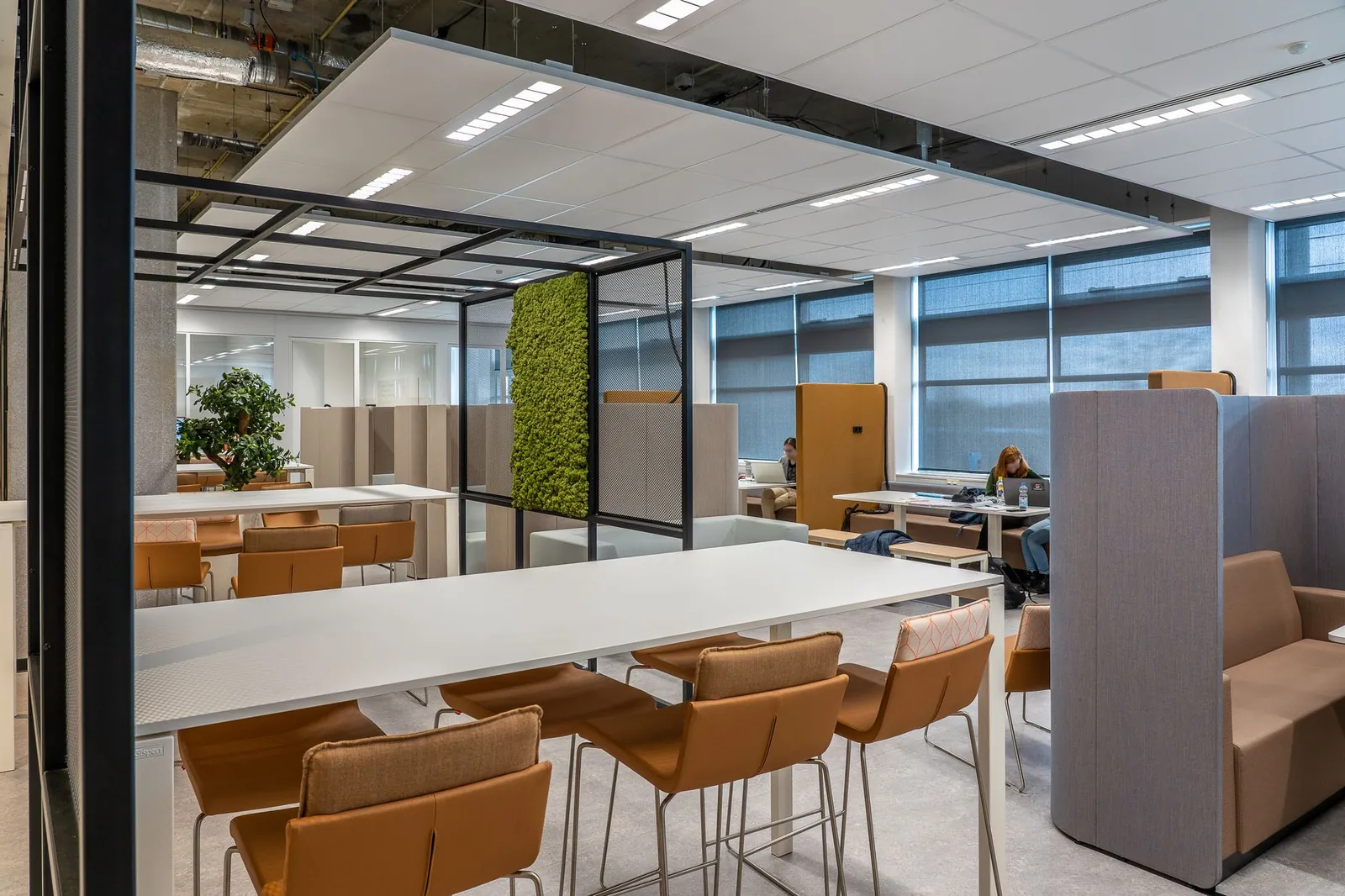 A spacious coworking office featuring modern design and natural decor elements for a collaborative environment. Stock photo illustrating Dev Accelerator's earning call story.