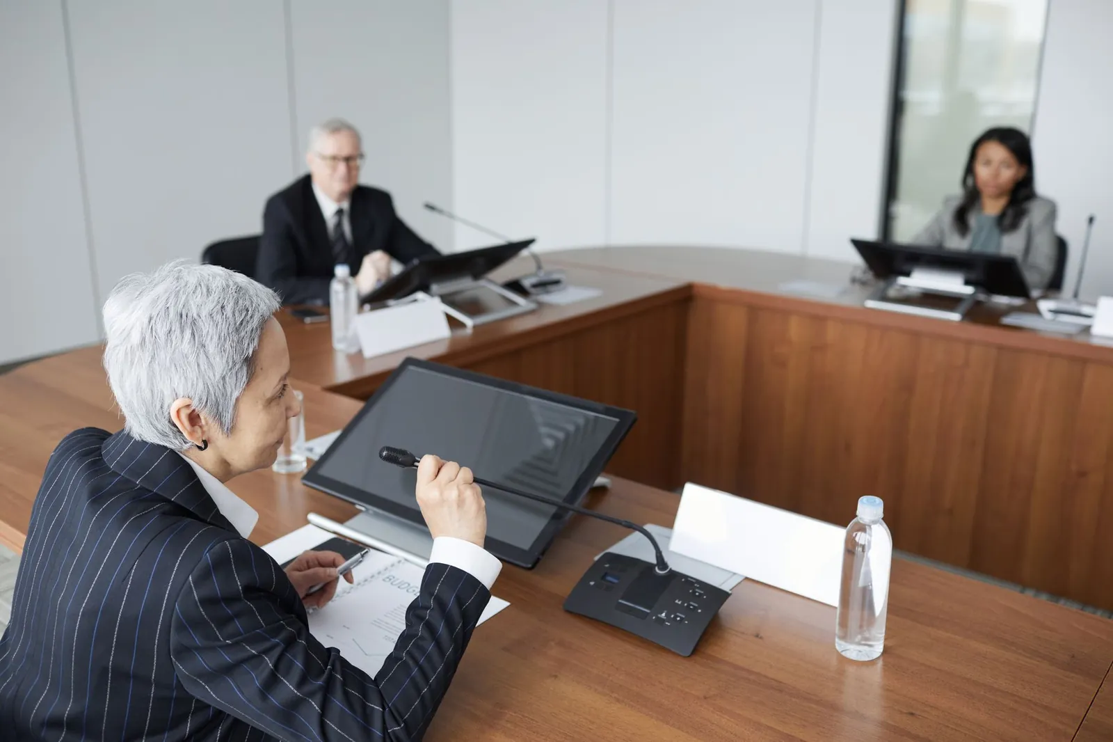 Senior executives discussing strategies in a modern boardroom setting. Stock photo illustrating IIRM Holdings India's fund raise story.