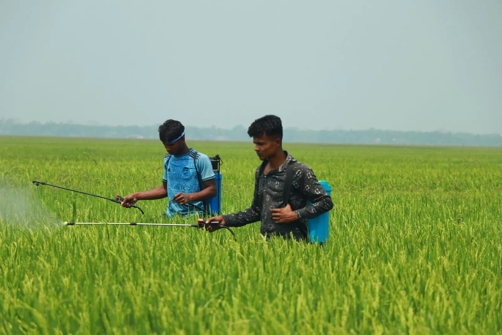 Two farmers spray pesticides in a green field, enhancing crop health. Stock photo illustrating UPL's earning call story.