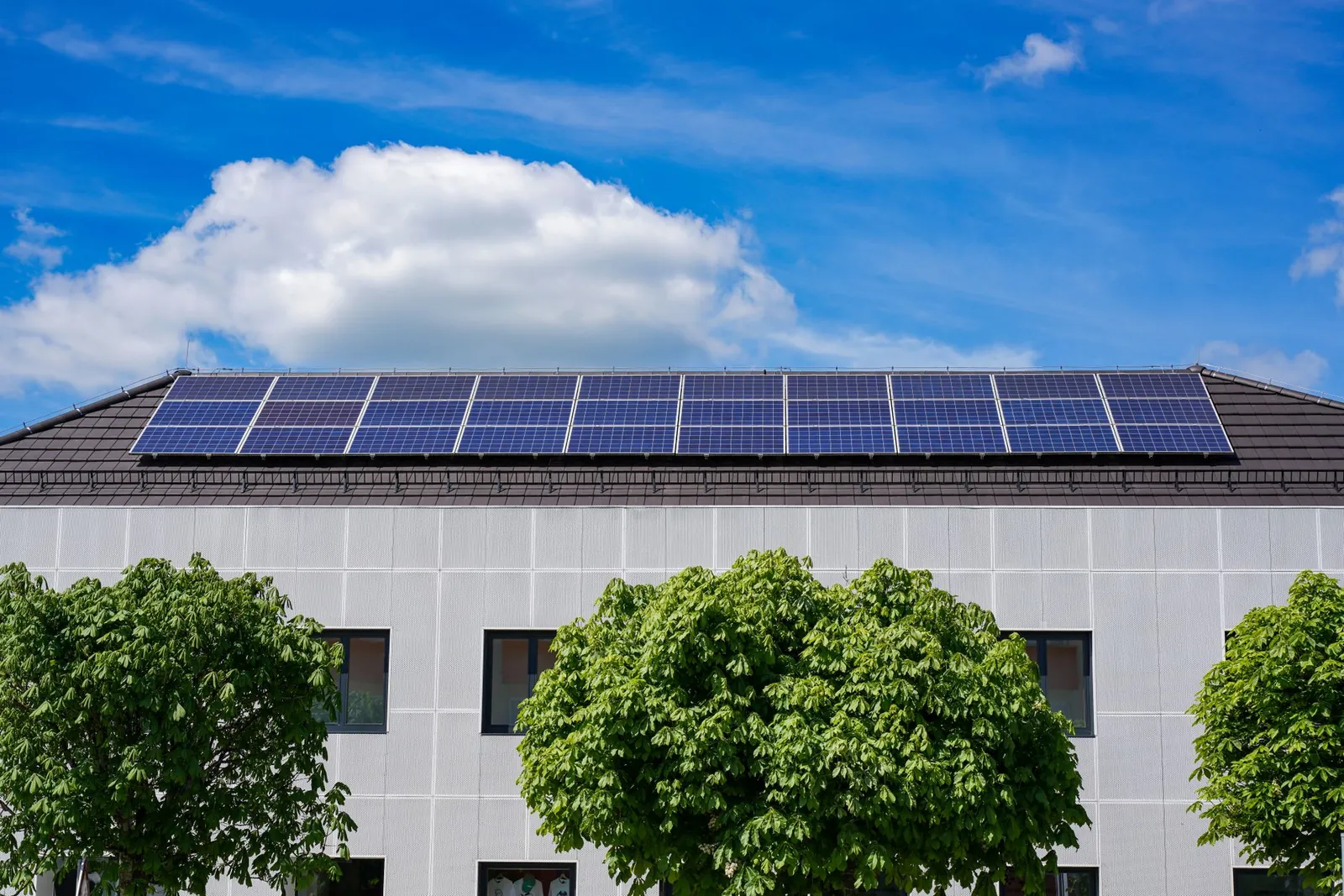 Energy-efficient building topped with solar panels and surrounded by lush trees. Stock photo illustrating Ceigall India's new order story.