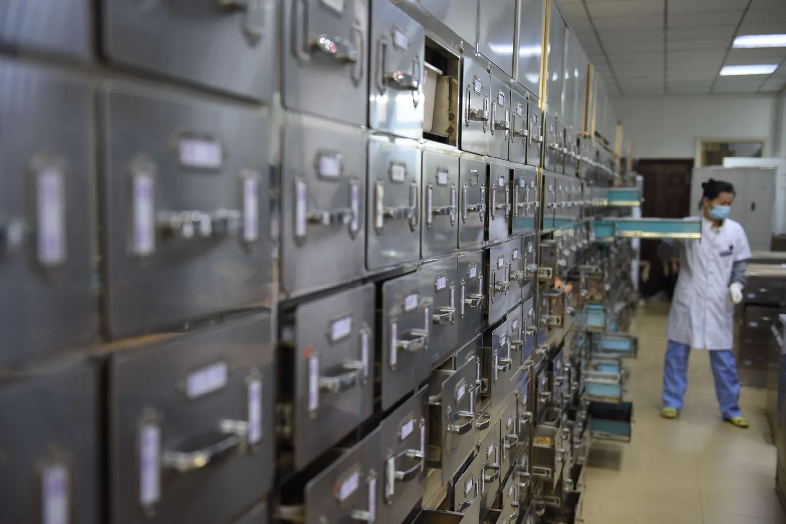 A laboratory technician organizes metal storage drawers in a research facility, maintaining order and efficiency. Stock photo illustrating Wanbury's product launched story.