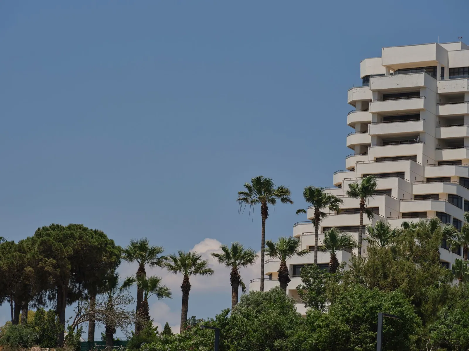 White modern luxury hotel surrounded by palm trees under a clear blue sky. Stock photo illustrating Taj GVK Hotels & Resorts' expansion story.