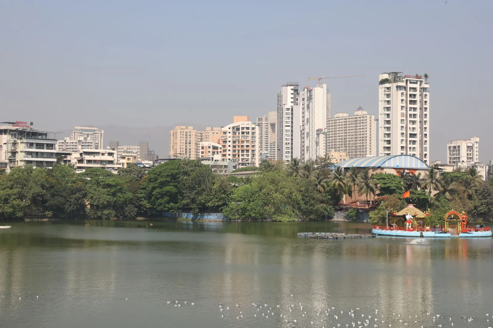 Serene view of a city lake with high-rise buildings and seagulls. Stock photo illustrating Kesar India's new order story.