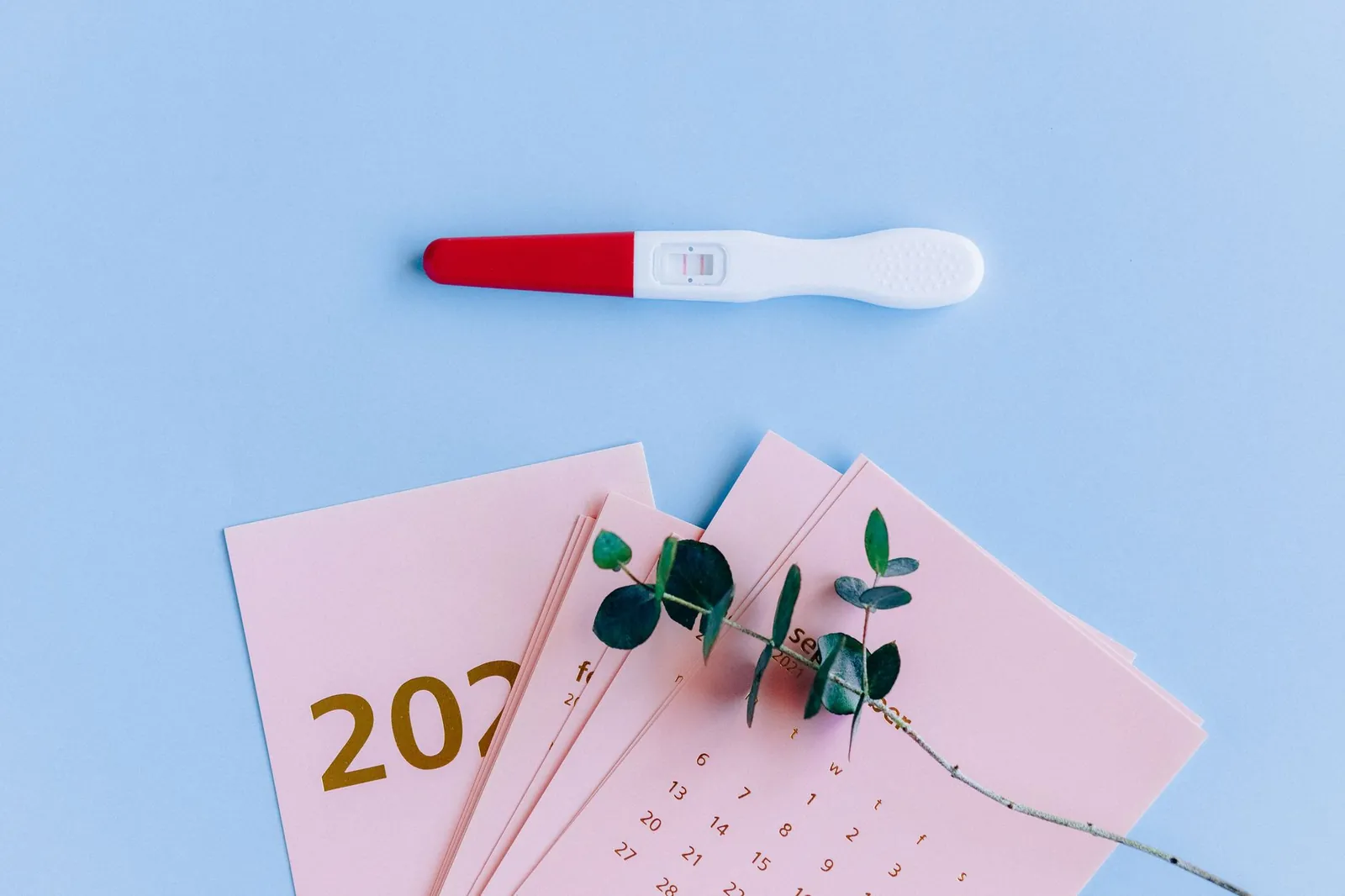 Pregnancy test on pastel flat lay with calendar and eucalyptus branch, symbolizing new beginnings. Stock photo for the ALFA News guide: The NSE Results Calendar: How to Track Earnings Dates.