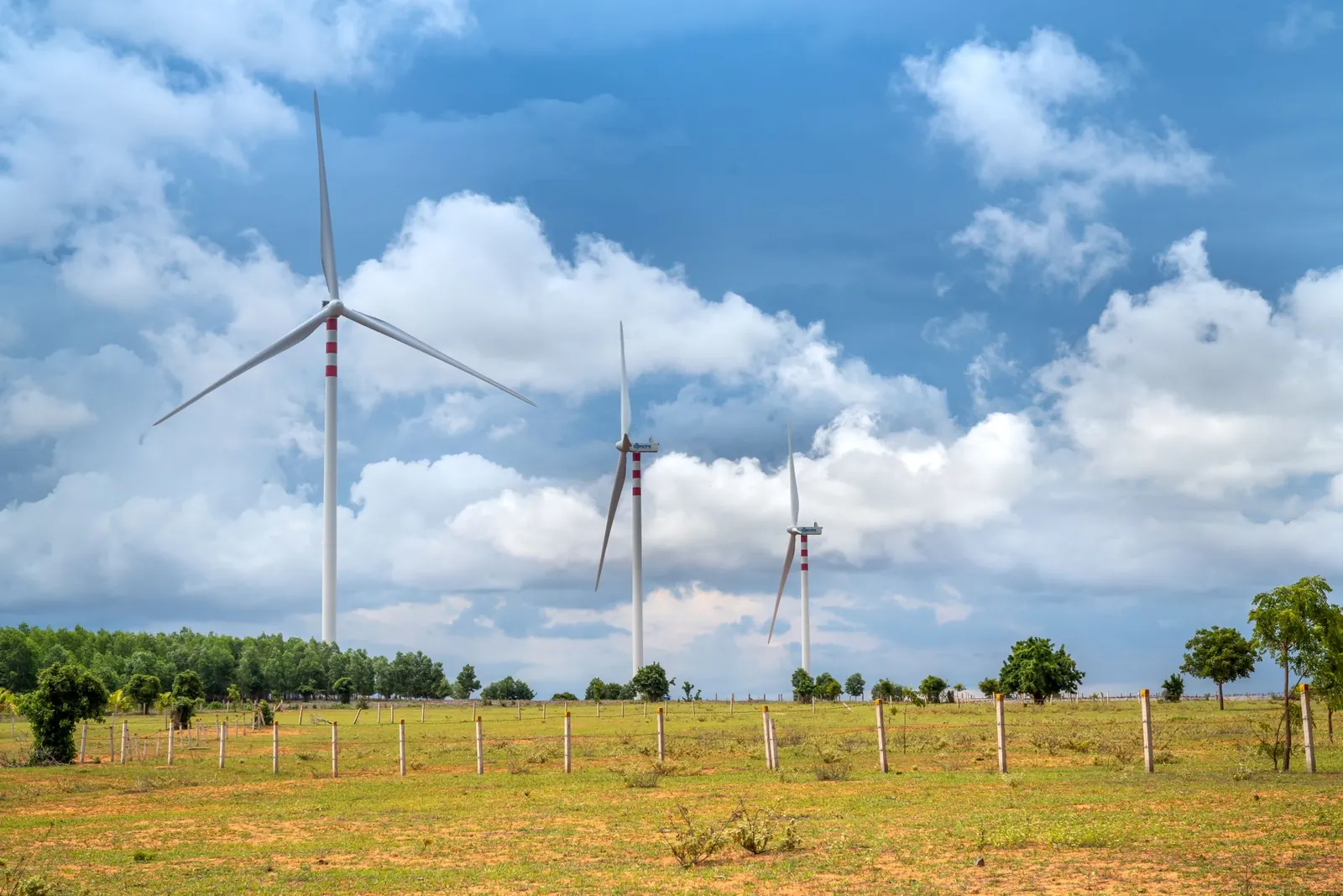 Three wind turbines in a grassy field on a sunny day, generating renewable energy. Stock photo illustrating Suzlon Energy's earning call story.