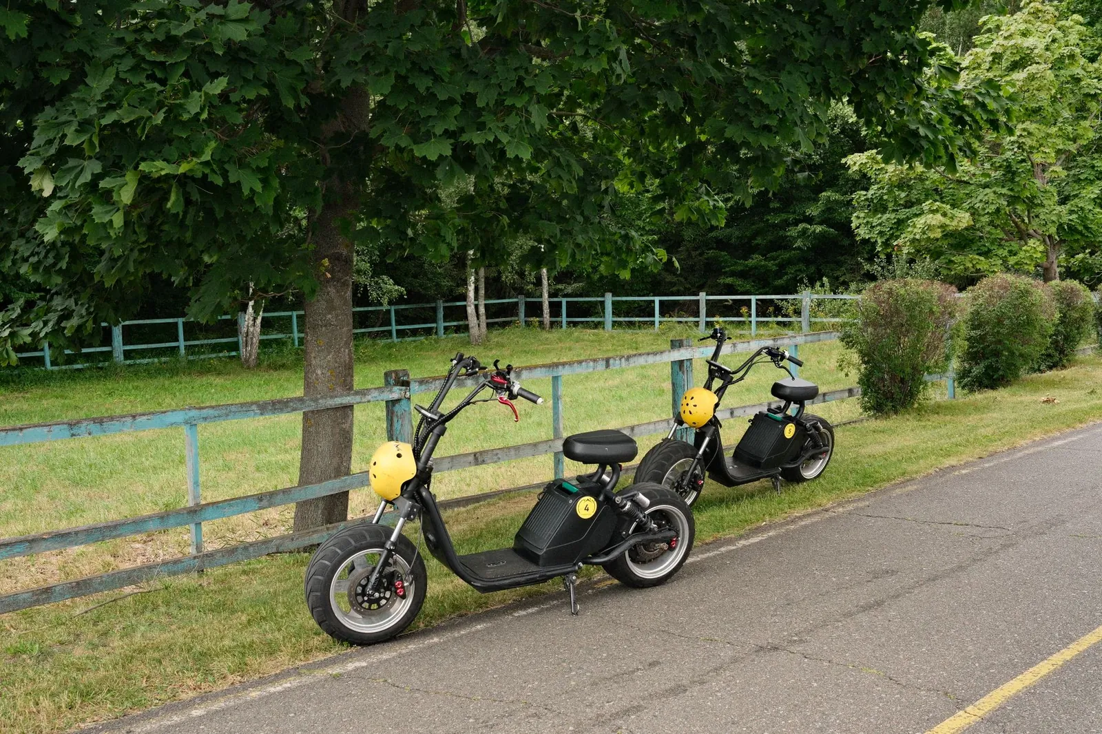 Two electric scooters with helmets parked beside a country road lined with trees. Stock photo illustrating TVS Motor Company's product launched story.