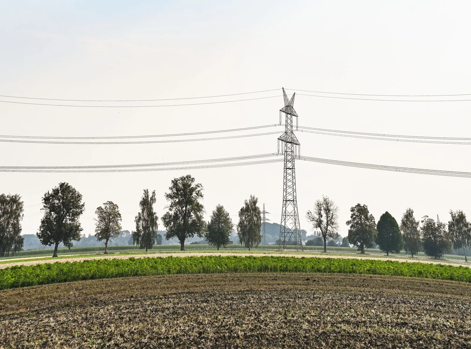 Wide view of electric transmission tower and power lines over farmland with trees. Stock photo illustrating KP Green Engineering's new order story.