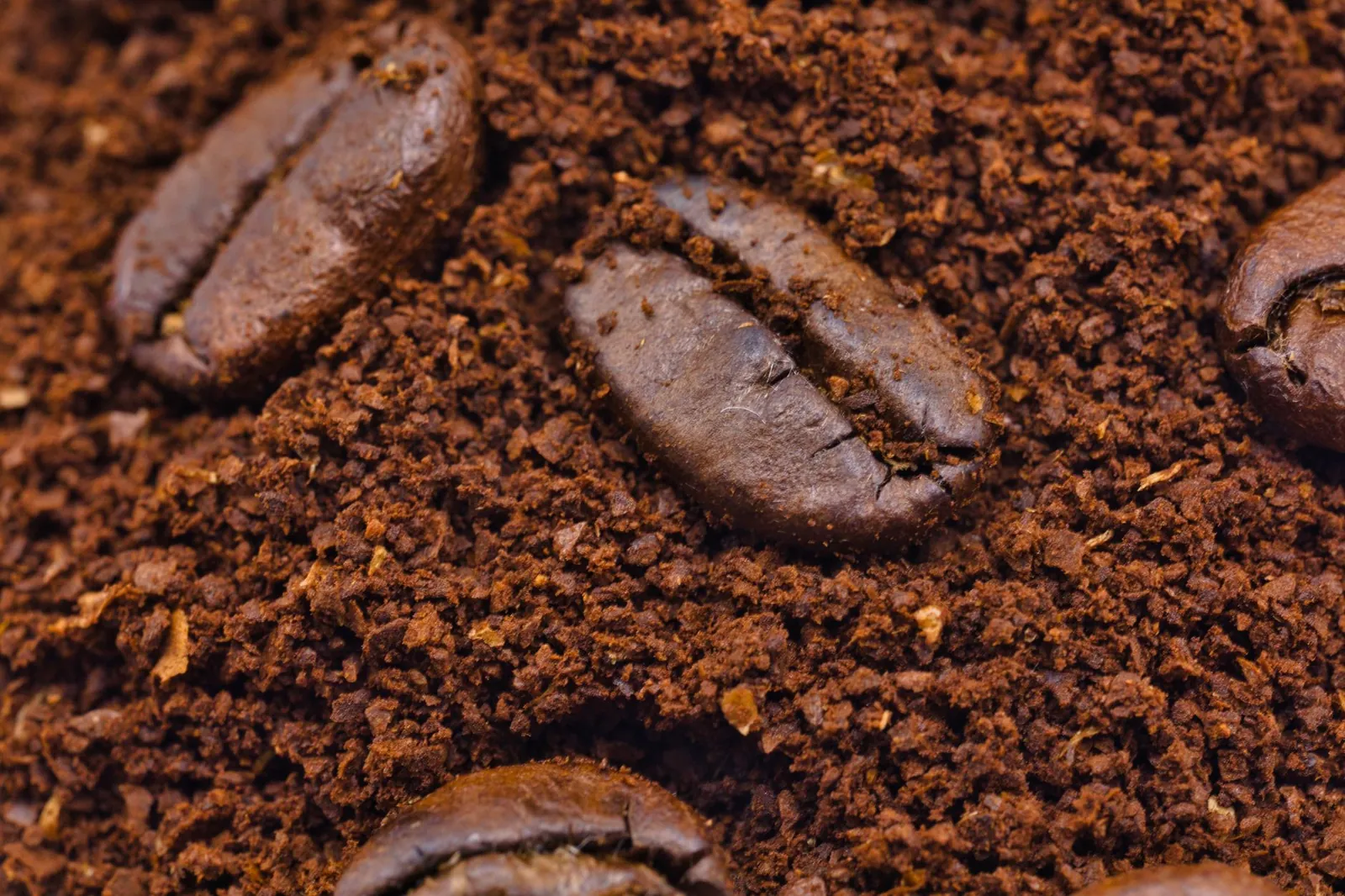 Macro shot of roasted coffee beans nestled in rich ground coffee, showcasing texture and aroma. Stock photo illustrating Vintage Coffee And Beverages' product launched story.