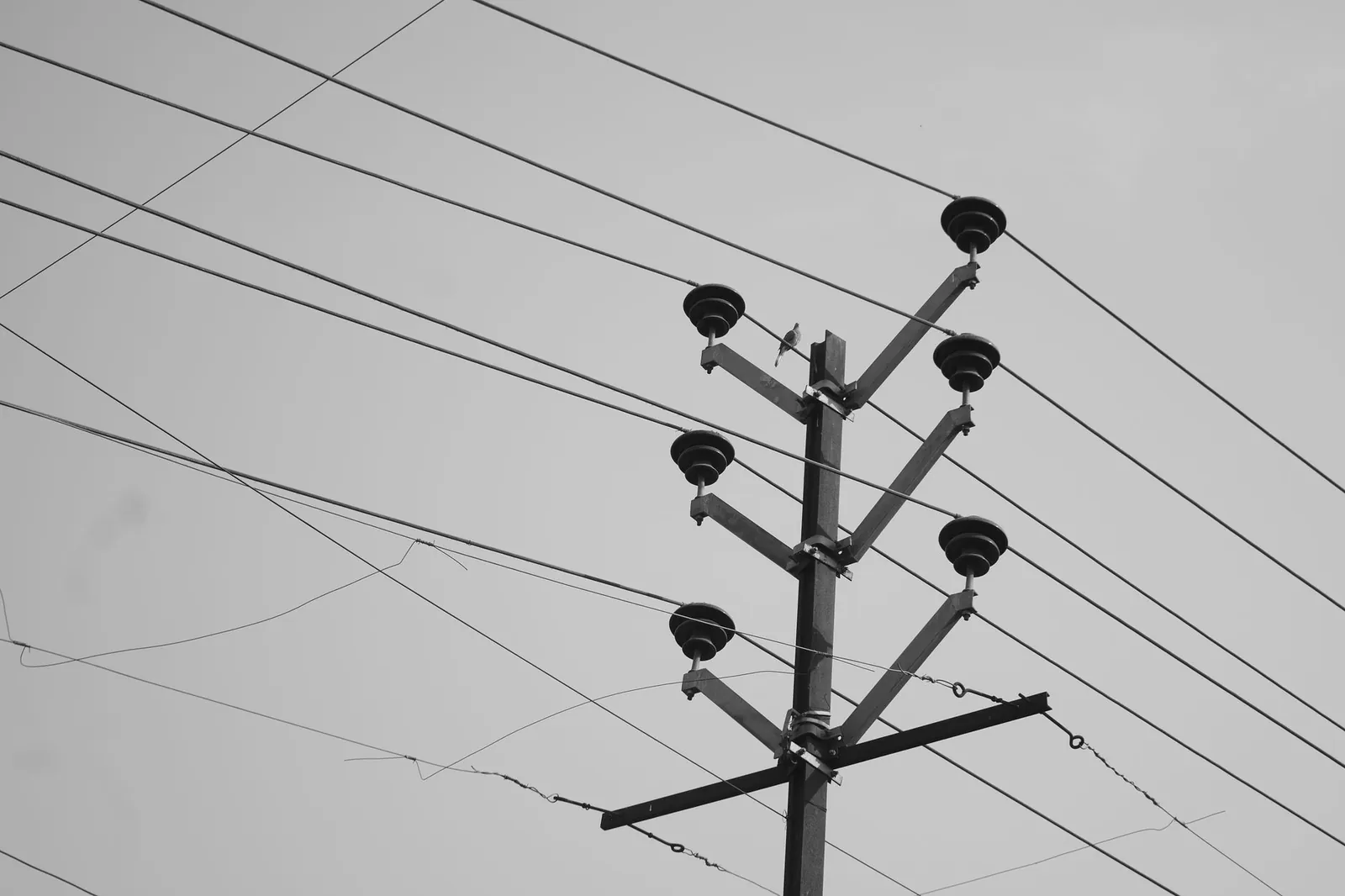 A low angle monochrome photo of a utility pole with power lines against the sky. Stock photo illustrating Diamond Power Infrastructure's production started story.